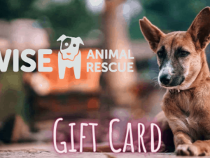 Wise Animal Rescue Gift Card