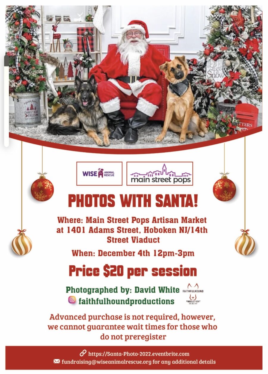 Dog Photos Santa 2022