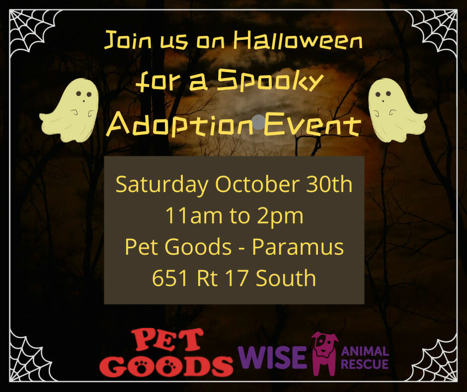 Halloween Adoption Event
