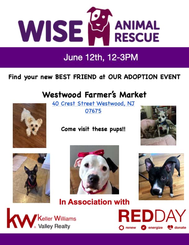 Westwood Farmers Market Wise Adoption