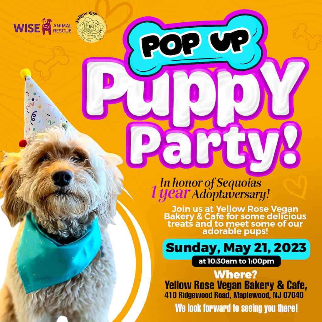 Pop Up Puppy Party