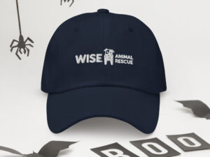 Wise Classic Dad hat